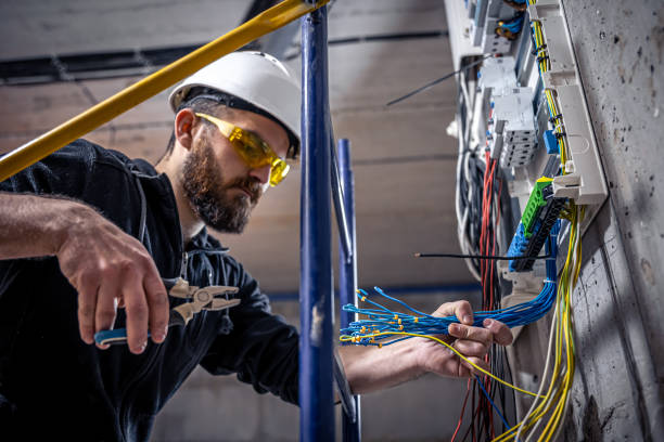 Best Home Electrical Repair  in Minneota, MN