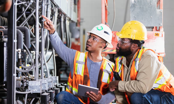 Best 24-Hour Electrician  in Minneota, MN