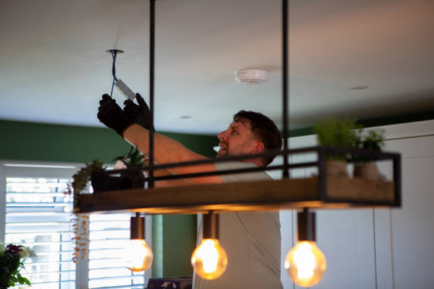 Best Home Electrical Repair  in Minneota, MN